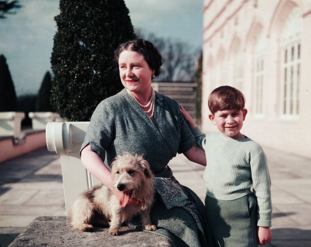 Photos of Prince Charles With Animals