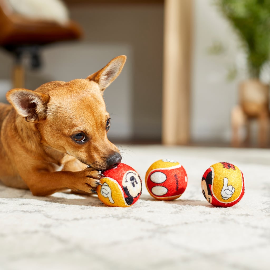 Mickey Mouse Fetch Squeaky Tennis Ball Dog Toys You Can Find the Best