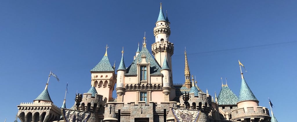 How Does Disney Rider Switch Work?
