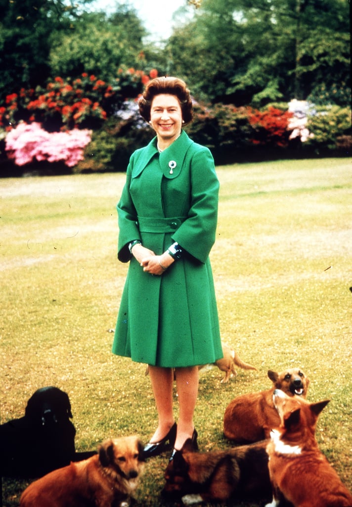 Why Did Queen Elizabeth Have So Many Corgis?