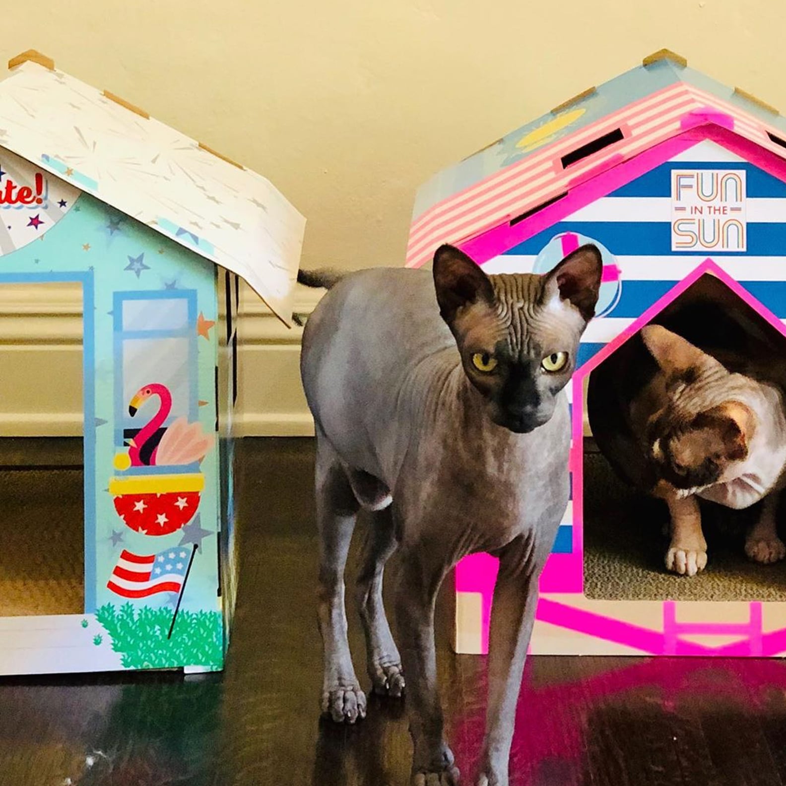 Summer CatScratcher Houses From Target's Sun Squad Line POPSUGAR Pets