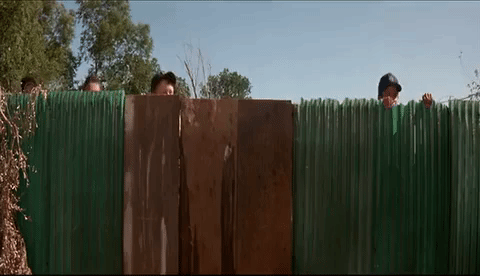 Look Before You Leap