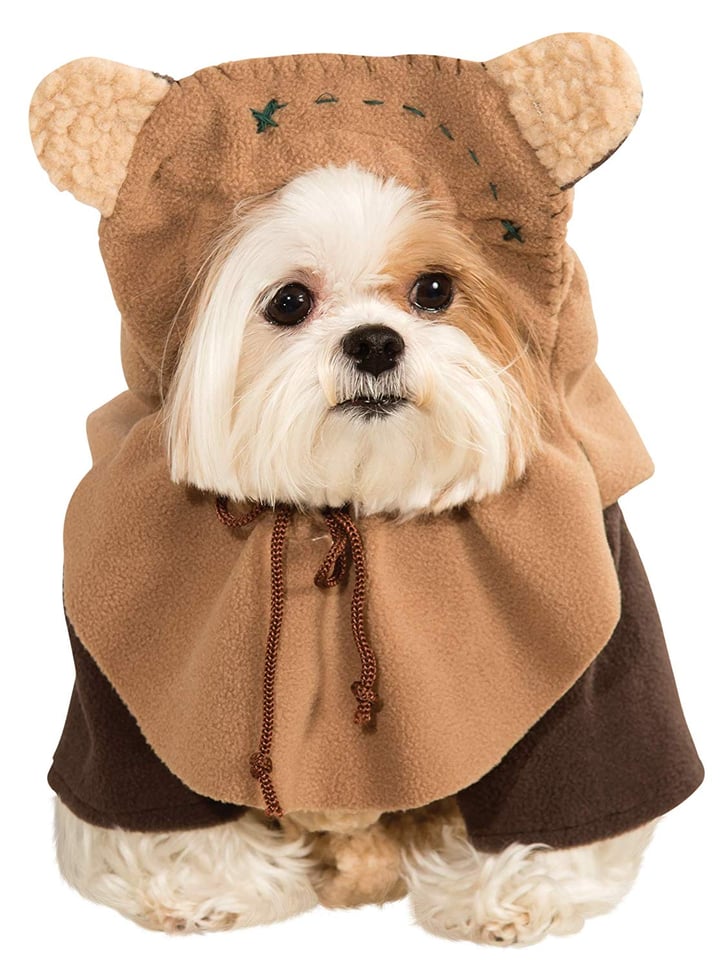Star Wars Ewok Pet Costume | Best Costumes For Dogs | POPSUGAR Pets
