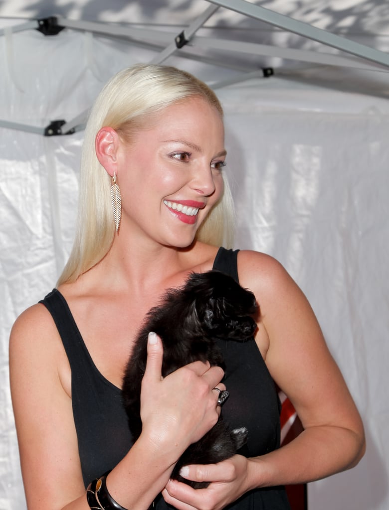 Katherine Heigl Red Carpet Pictures August 2015