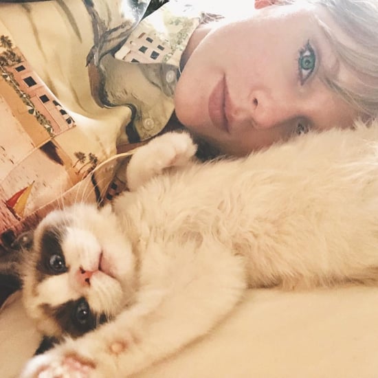 Taylor Swift Trademarked Her Cat Benjamin Button