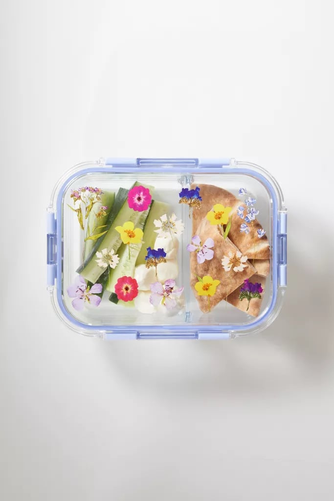 Large Graphic Glass Reusable To-Go Container