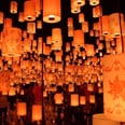 This Tangled-Themed Exhibit Features Tons of Glowing Lanterns — and It's Breathtaking