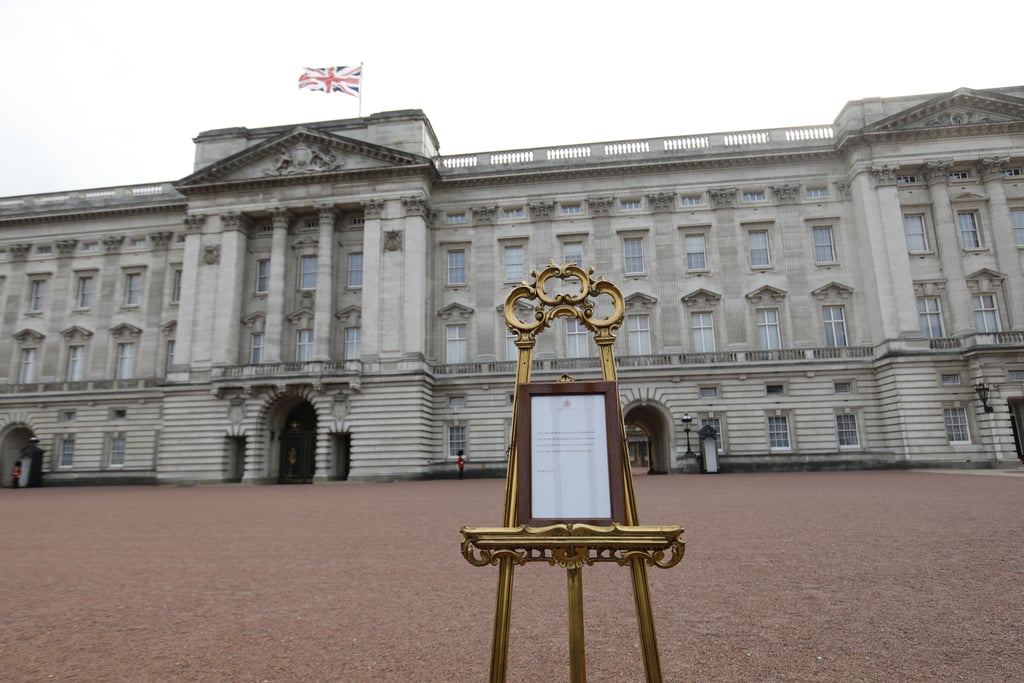 Prince Harry Announcing the Birth of His First Child Video