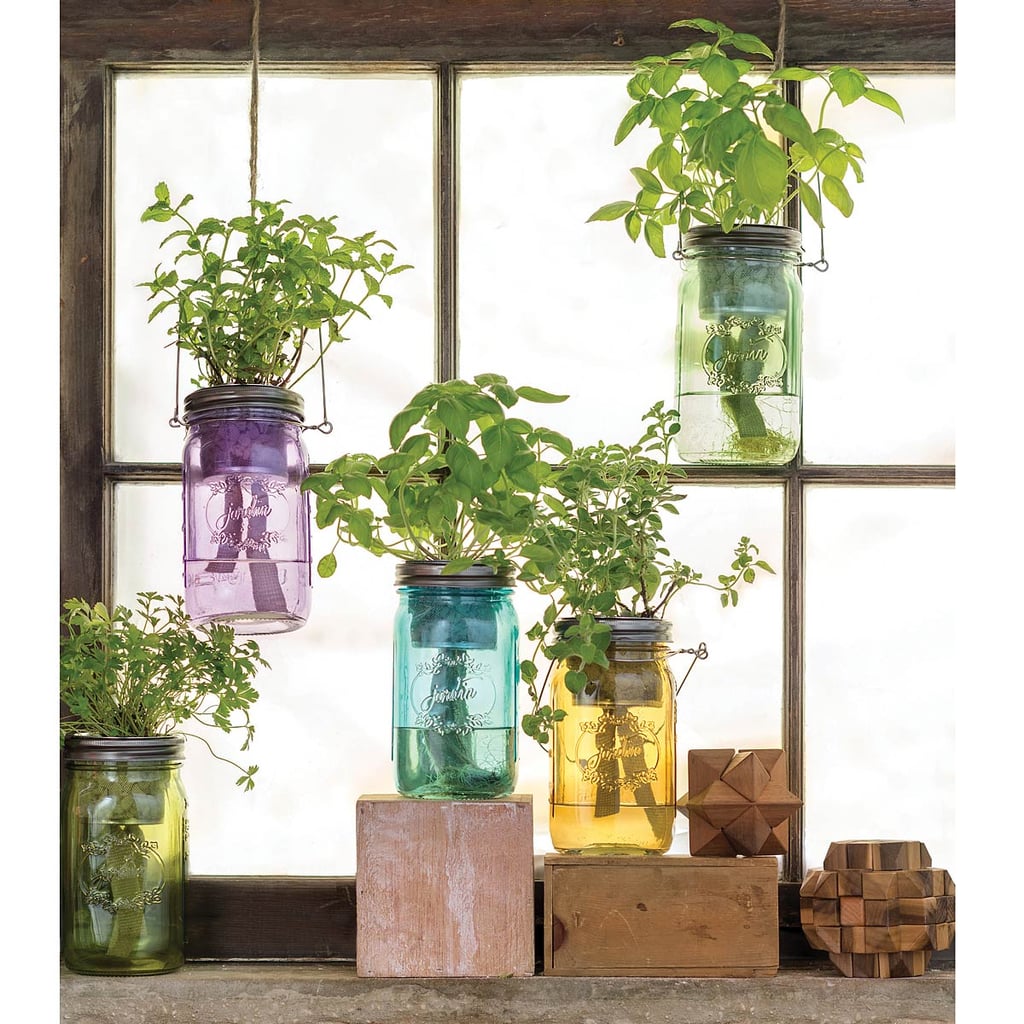 Mason Jar Indoor Herb Garden