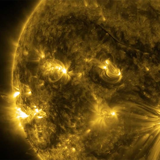 NASA Footage of the Sun