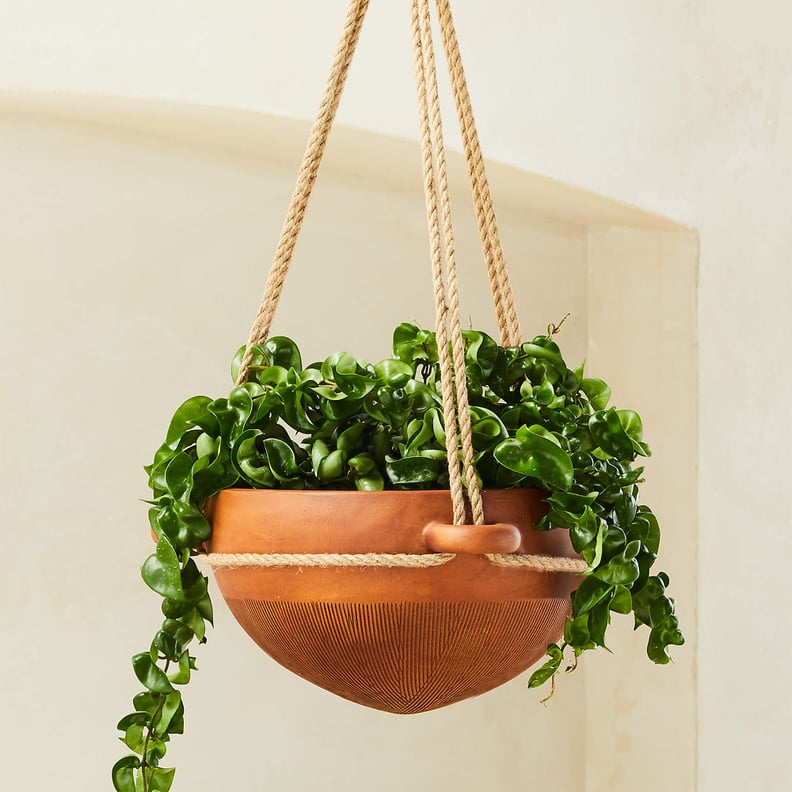 CB2 Salvador Brown Hanging Planter