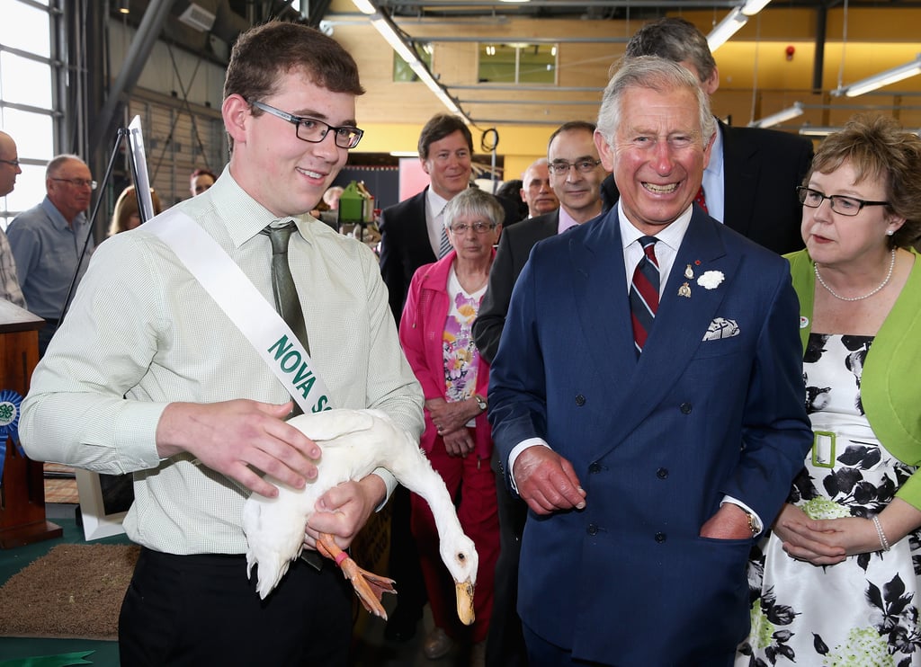 Photos of Prince Charles With Animals