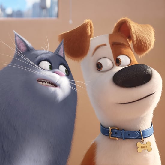 The Secret Life of Pets Wins Box Office on Opening Weekend