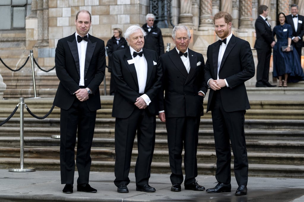 Harry, William, and Charles at Our Planet Premiere 2019