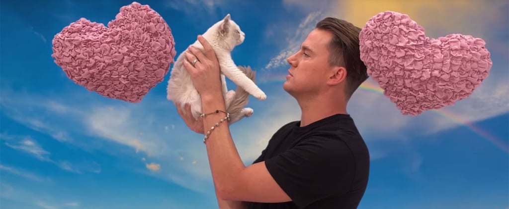 Channing Tatum Says Mean Things to a Kitten Video