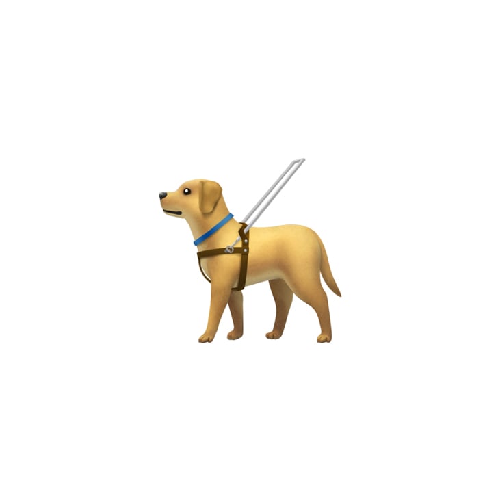 "Guide Dog With Harness"