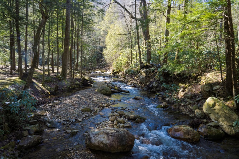 Value: Great Smoky Mountains National Park, USA