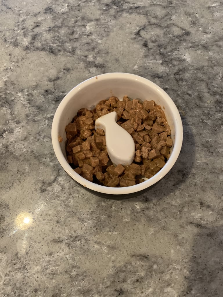 This is the food in the bowl fresh out of the can.