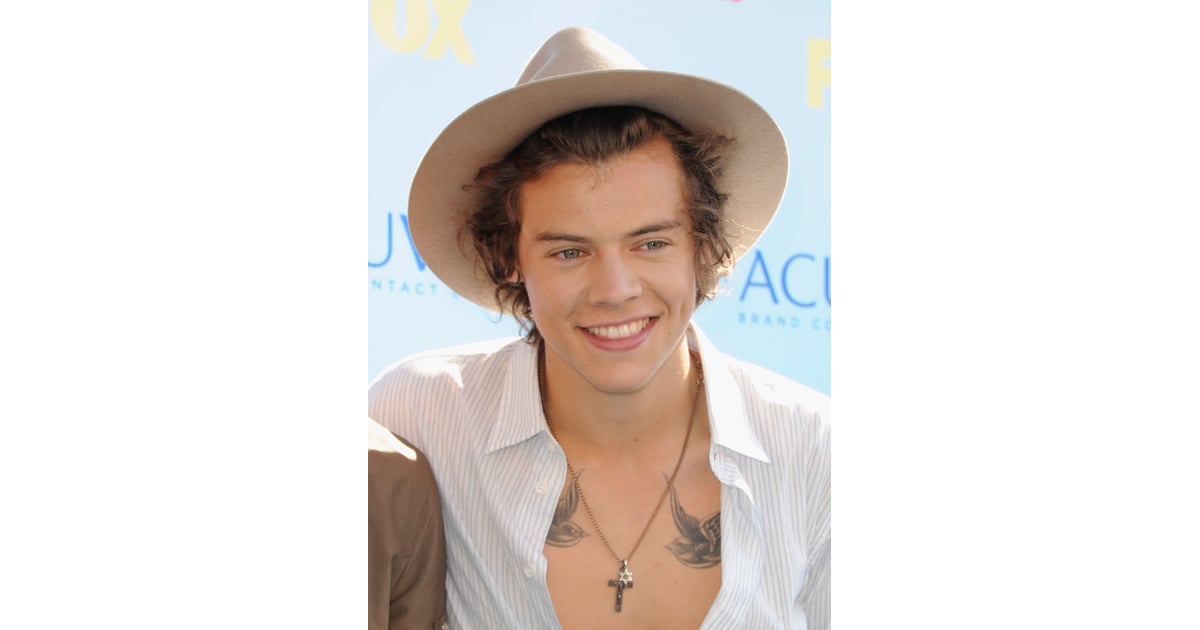 Swallows Pictures of Harry Styles's Tattoos POPSUGAR Celebrity UK