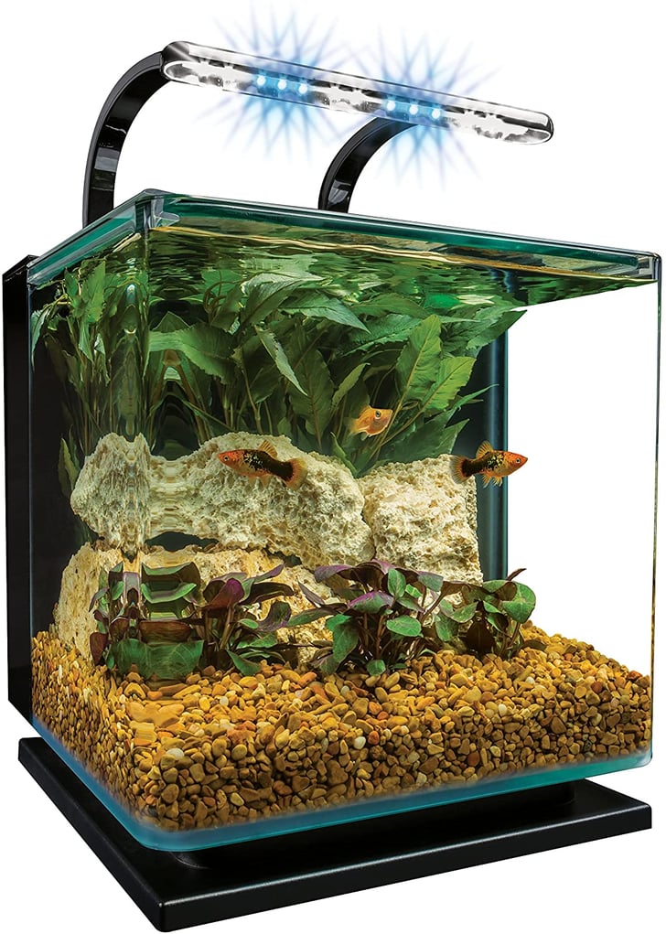 Marineland Contour Glass Aquarium Kit Thee 20 Best Fish Tanks for