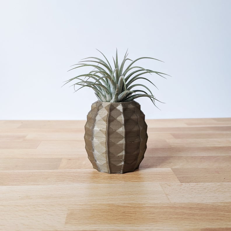 Pale Gold Pineapple Air Plant Pot