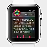 What Can the Apple Watch Do? | POPSUGAR Tech