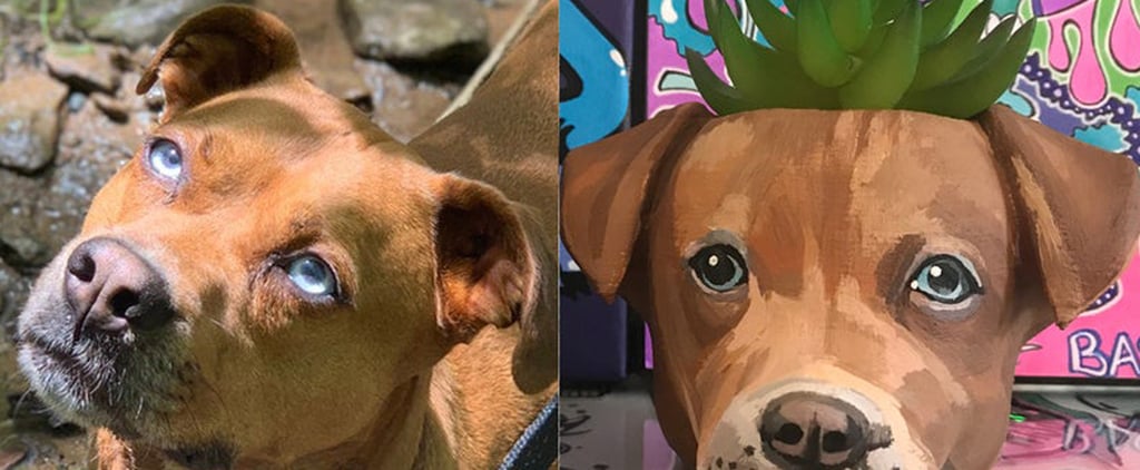 Get a Custom Painted Planter With Your Dog's Face on Etsy