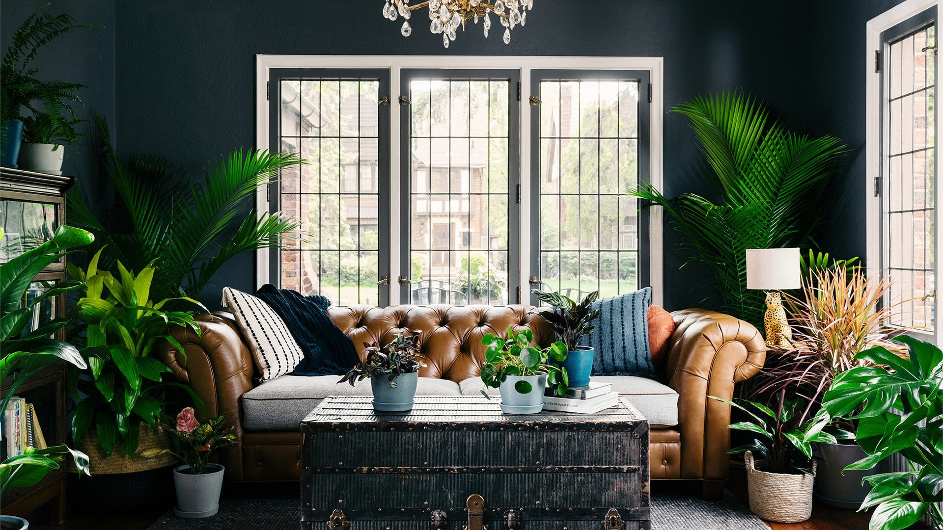 Zoom Background Living Room With Plants