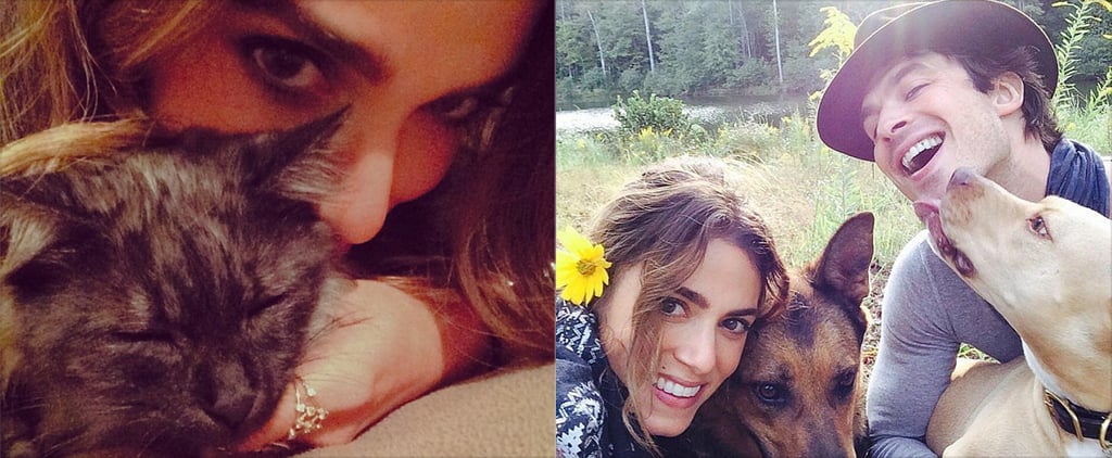 Nikki Reed's New Cat | Photo