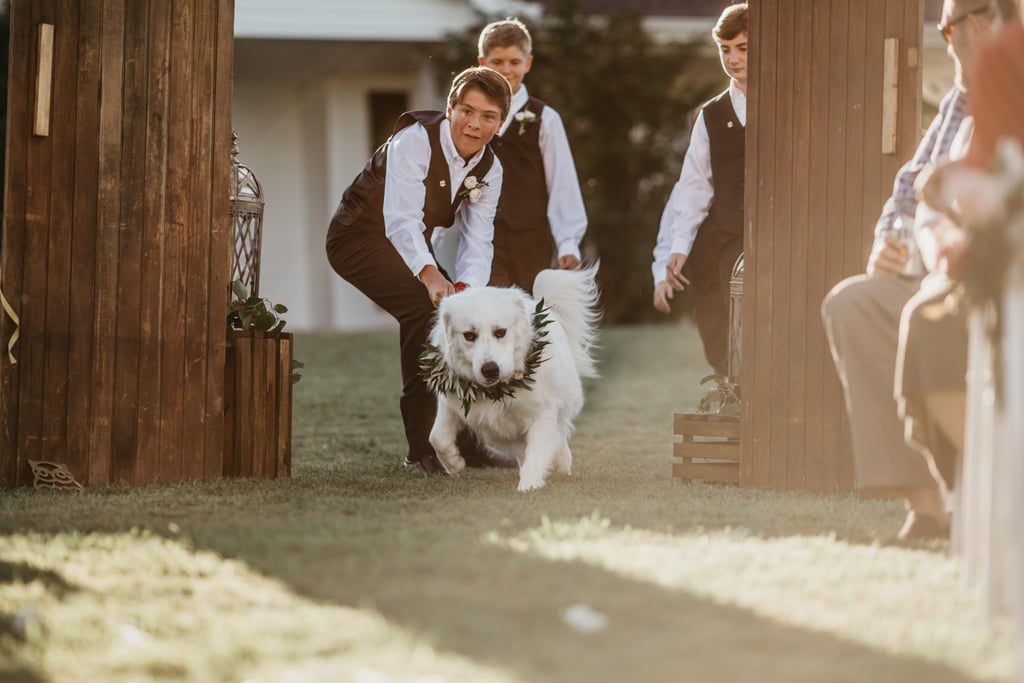 Backyard Harry Potter Wedding