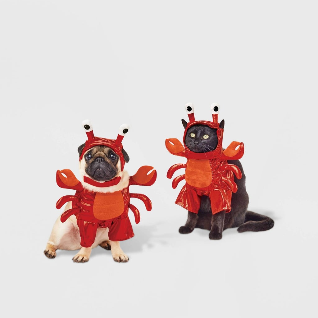 A Lovable Lobster: Hyde & EEK! Boutique Lobster Frontal Dog and Cat Costume
