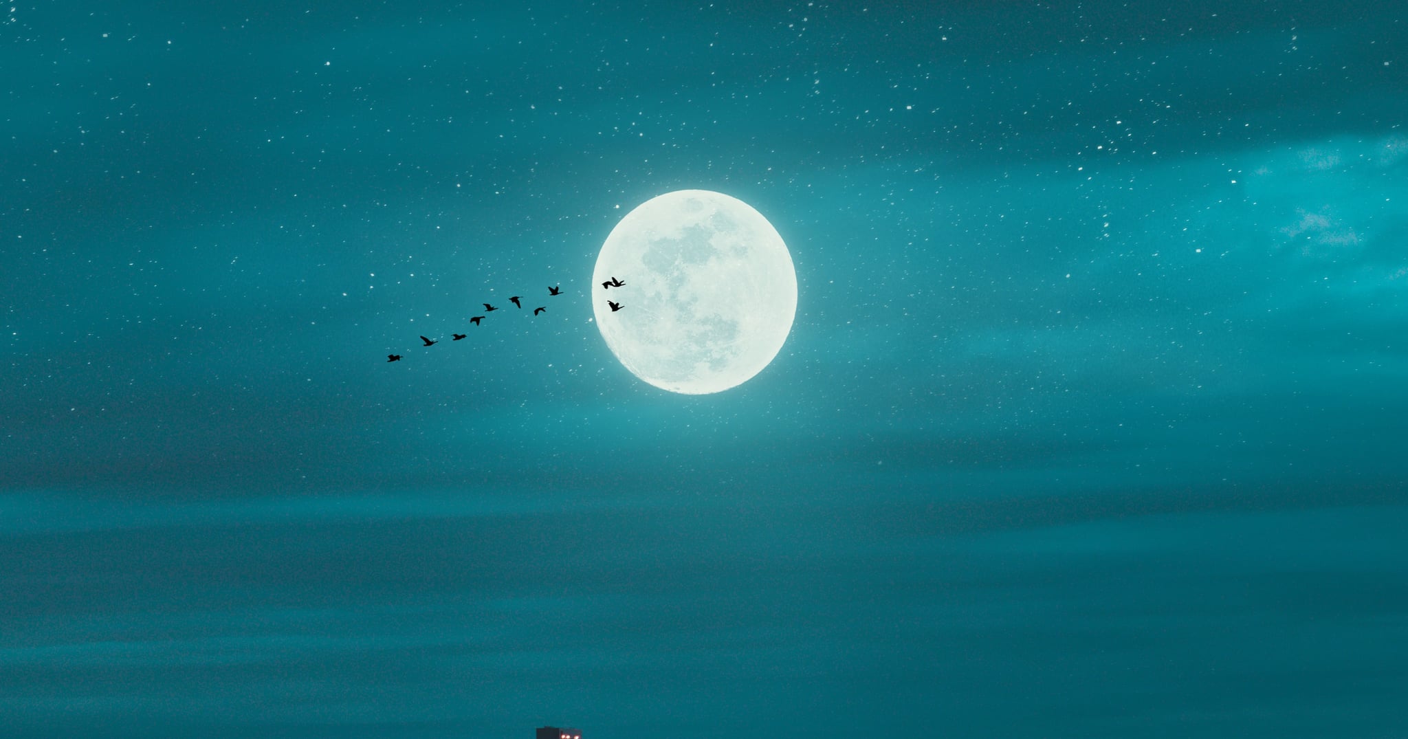 How to Take Advantage of the Upcoming Buck Moon, One of the Brightest of the Year