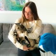 Staud Just Launched the Coziest Sweatshirt Known to Mankind — Because It Has Your Pet's Face on It