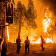 California Is Facing Another Wave of Devastating Wildfires — Here's How You Can Help
