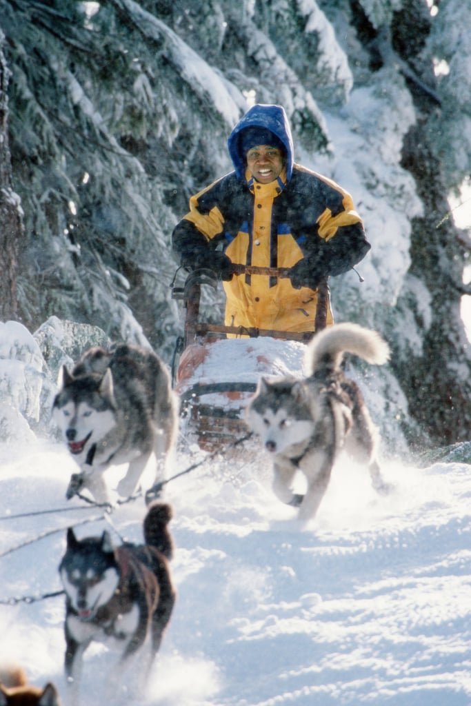 Movies About Snow: "Snow Dogs"