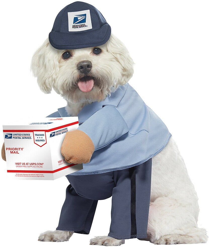 California Costumes USPS Delivery Driver Dog Costume