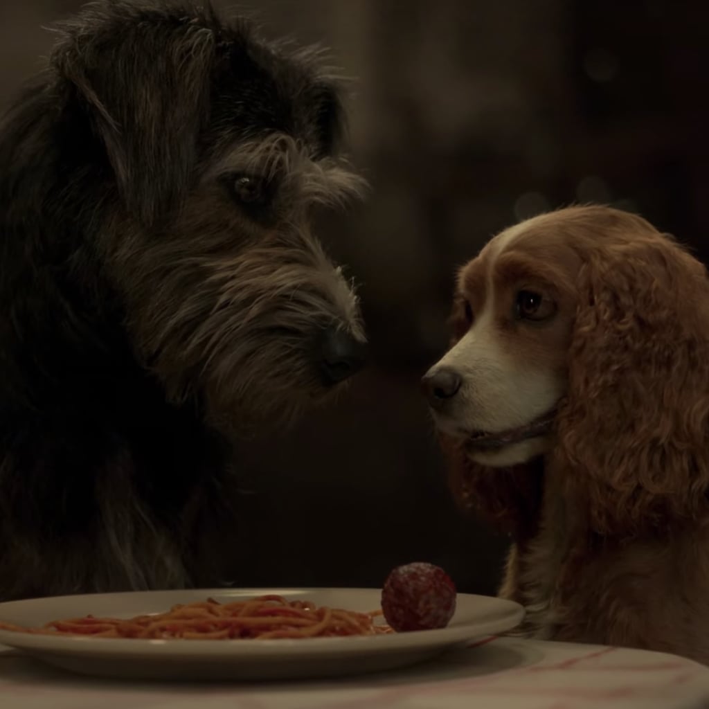 what types of dogs are in lady and the tramp