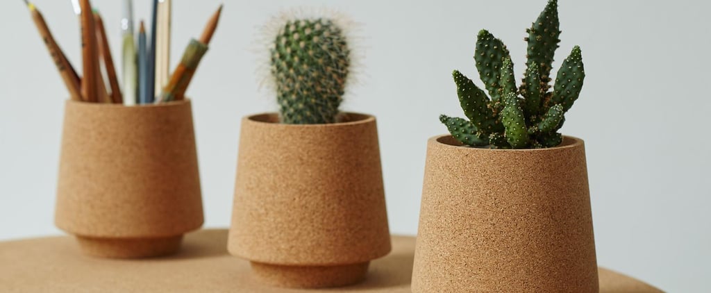 Best Gifts for Conscious Consumers
