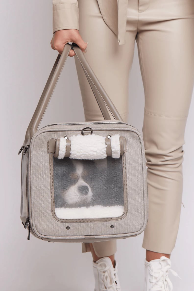 Best Gift For Travelers With Pets