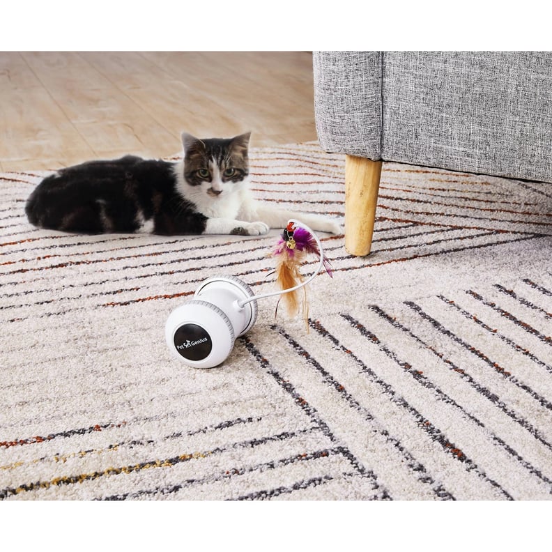 Pet Genius Smart Play Rover Cat Toy — White