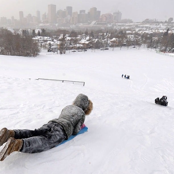 Go Sledding