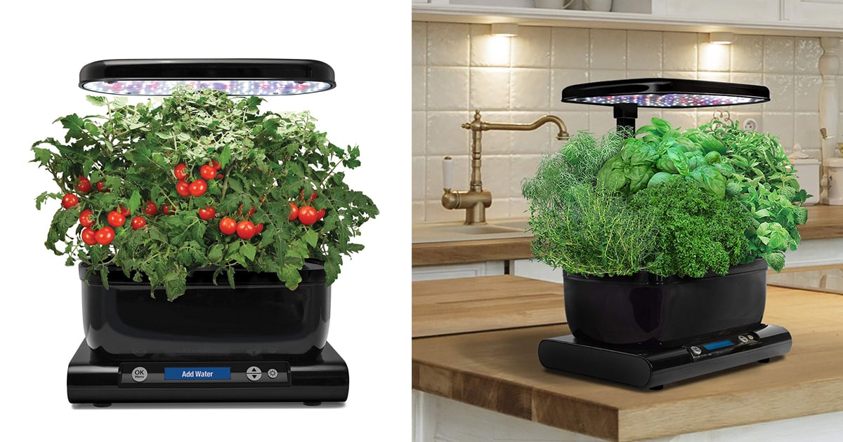 Amazon Prime Day Indoor Harvest Garden on Sale 2019 POPSUGAR Smart Living