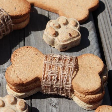 Grain-Free Dog Treats