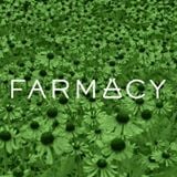 Farmacy Honey Savior All-in-One Skin Repair Salve