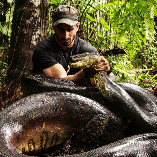 Eaten Alive Result | Video