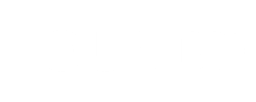 Zound Earplugs