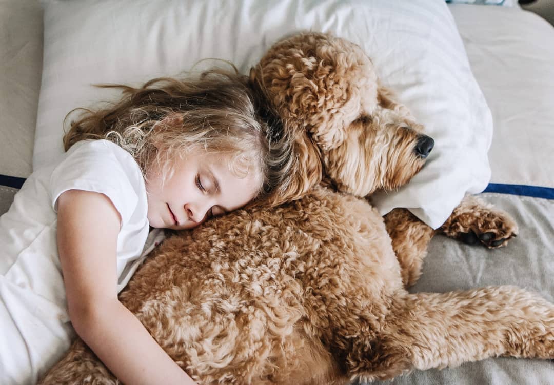 Dogs Cats And Other Pets 22 Photos Of Dogs And Babies Napping