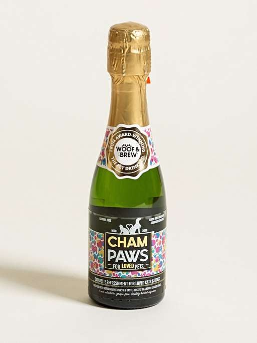 Oliver Bonas Champaws Pet Champagne