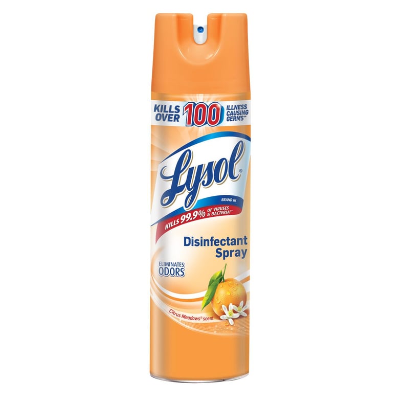 Lysol Disinfectant Spray — Citrus Meadows