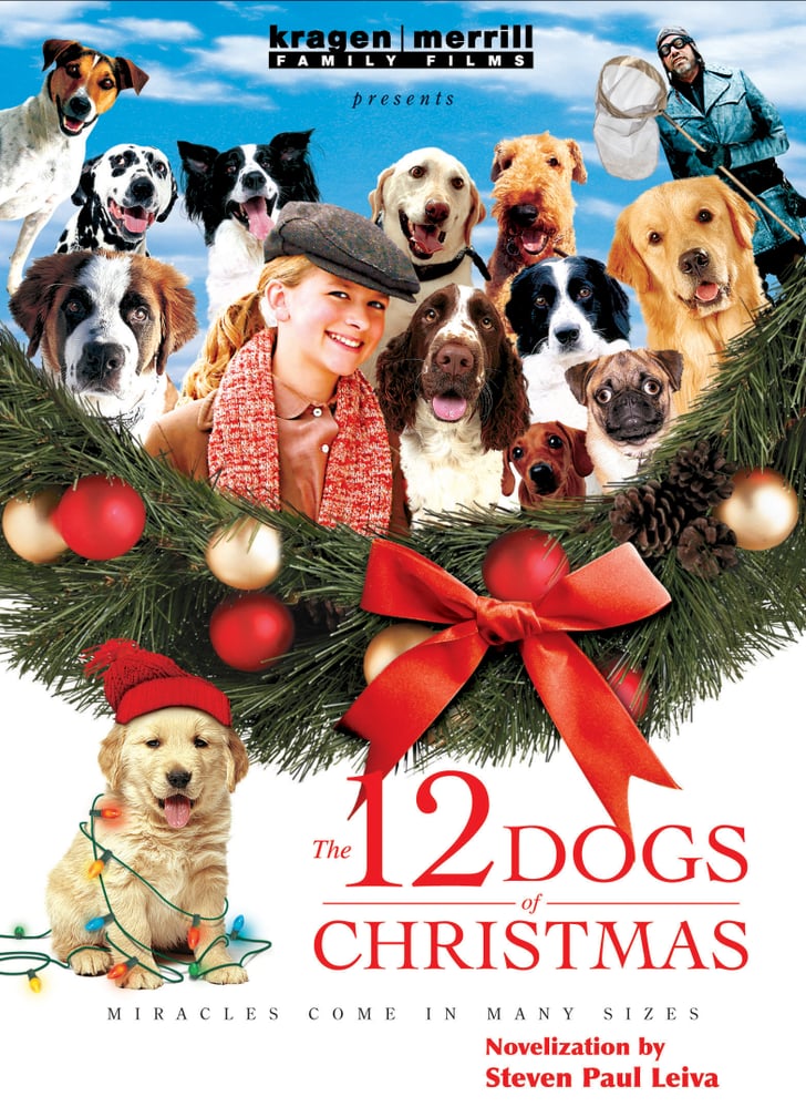 The 12 Christmas Dogs | Christmas Movies and Specials For Kids on Amazon Prime Video | POPSUGAR